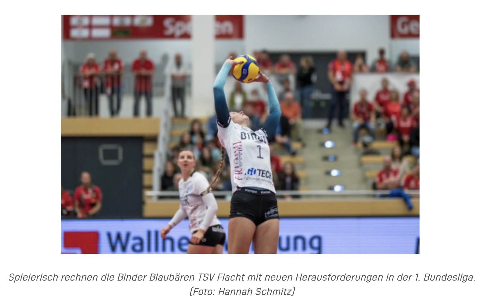 Medieninformation | Volleyball Bundesliga | 10.06.2025
